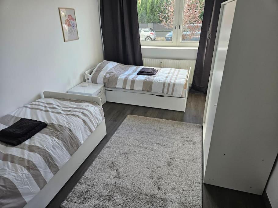 Charmant Appartement Moderne 71M2 A Illzach - Mulhouse - Parking Gratuit Exteriér fotografie